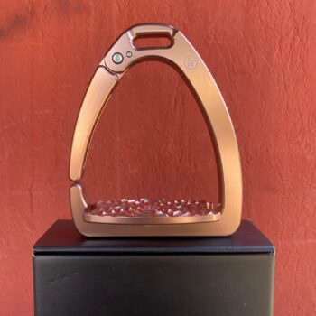 Innova Riding - immagine 2